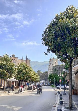 En av stadens större gator. I bakgrunden: stadsmuren och ingången till den befästa staden.