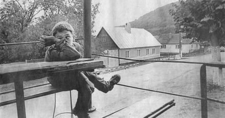 Här finns lugn och ro och djupa skogar. Men björnarna förjagar inte längtan att söka sig ett bättre liv någon annanstans.