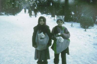 Kanske i Herăstrău-parken.
